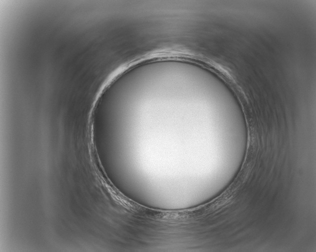 X0000059821366200510210944