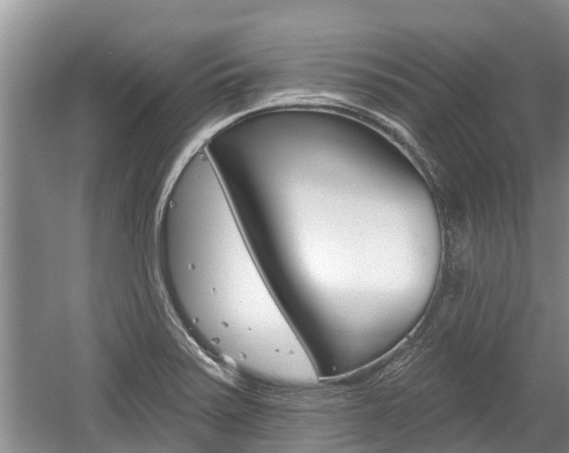 X0000059821371200510210944