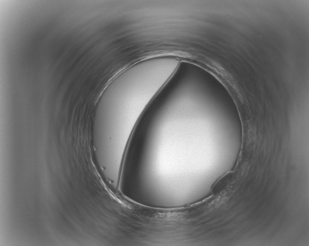 X0000059821377200510210944