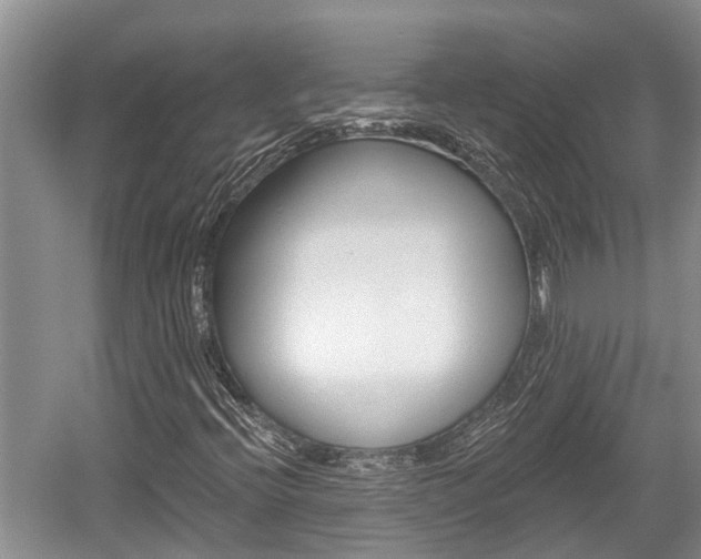 X0000059821396200510210943