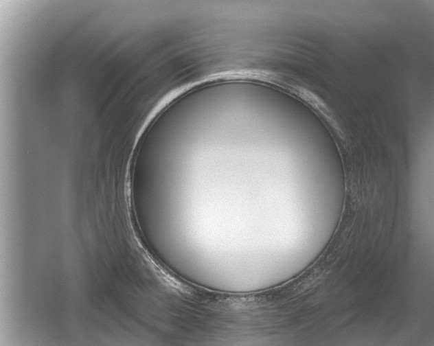 X0000059821428200510210944