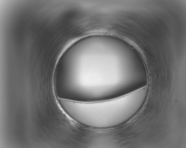 X0000059821440200510210944