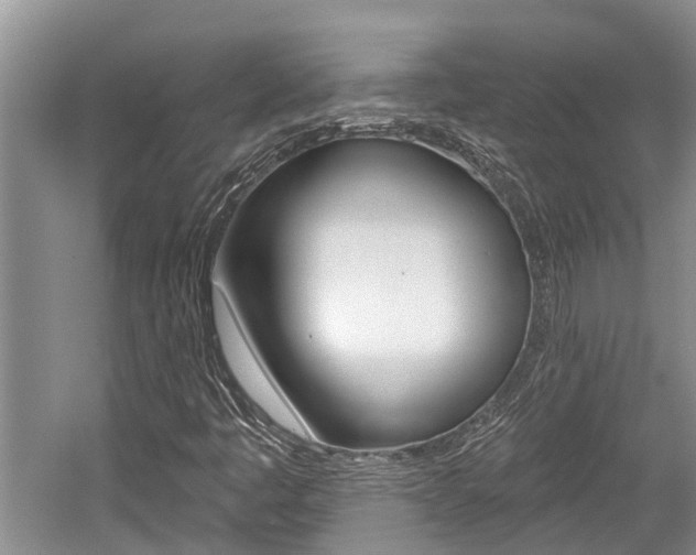 X0000059821445200510210943