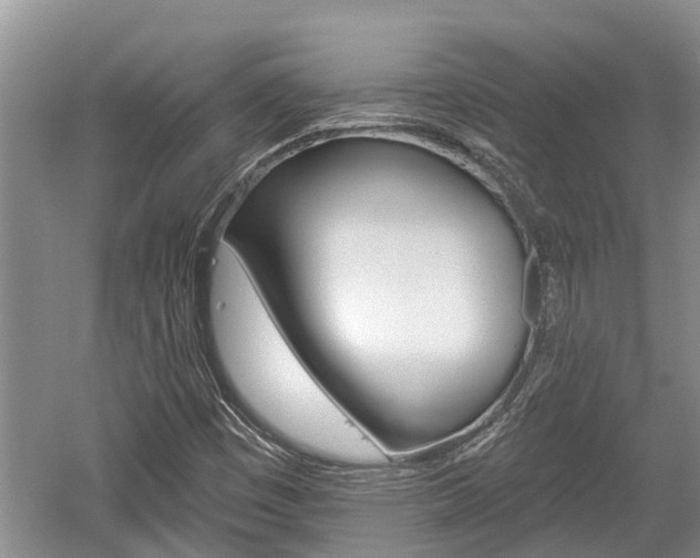 X0000059821449200510210943