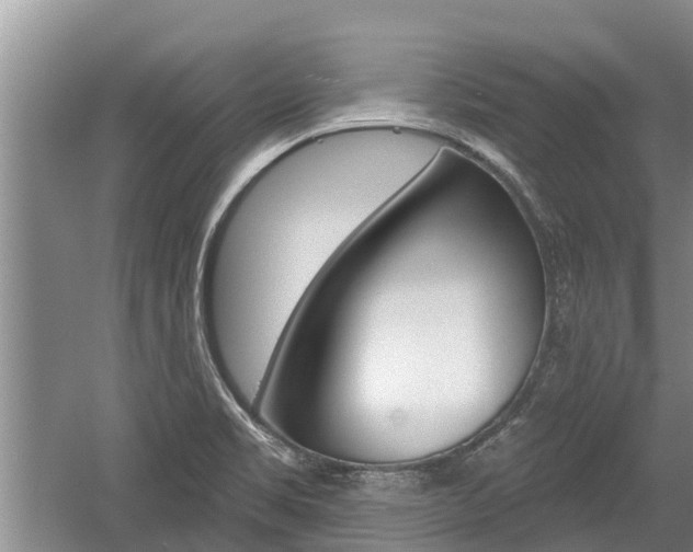 X0000059821469200510210943