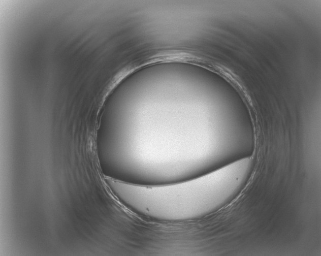 X0000059821481200510210942