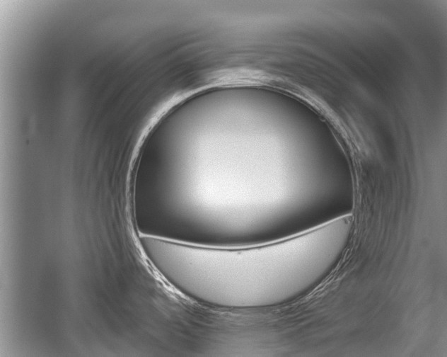 X0000059821488200510210942