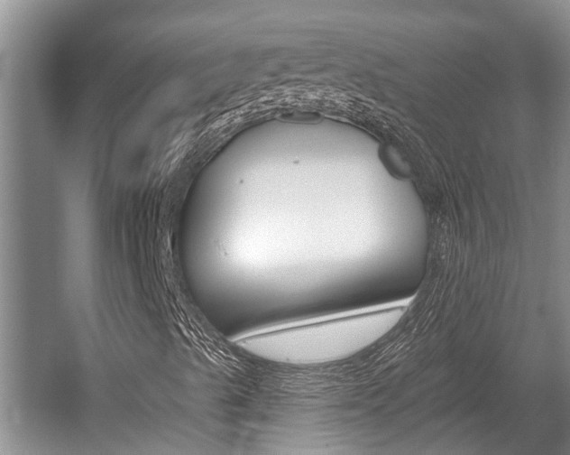 X0000059821489200510210941