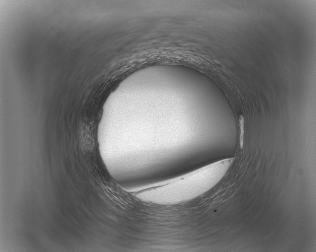 X0000059821491200510210942