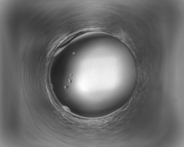 X0000059820001200510211159