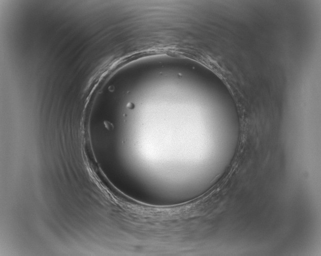 X0000059820002200510211159