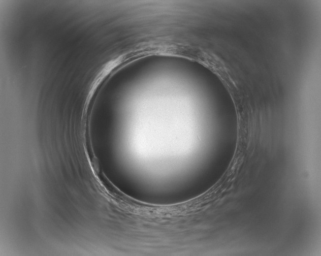 X0000059820003200510211159