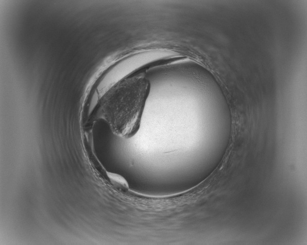 X0000059820006200510211159