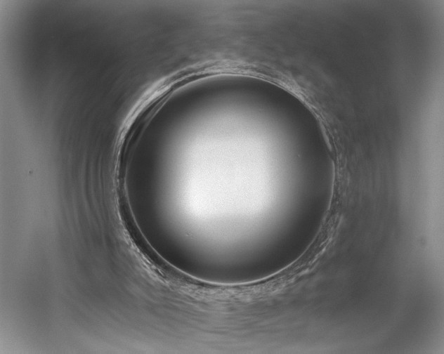 X0000059820007200510211159