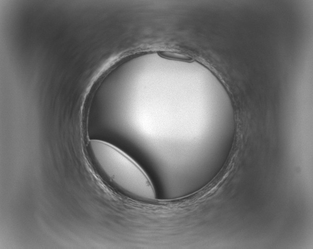 X0000059820008200510211159