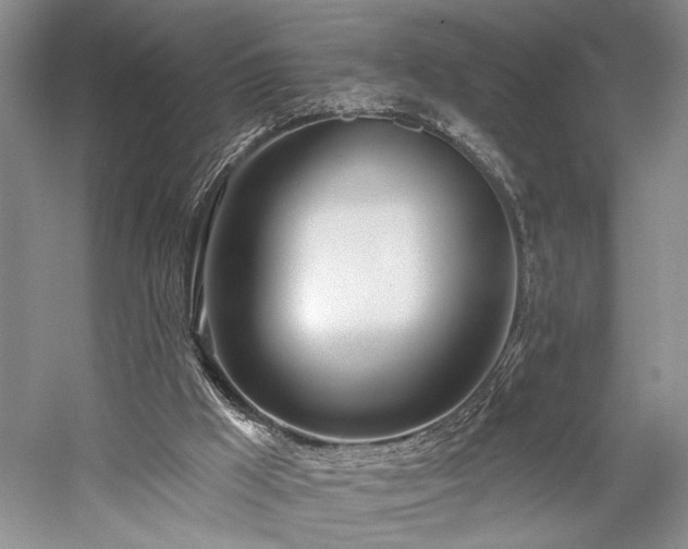 X0000059820009200510211159