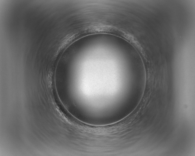 X0000059820010200510211159