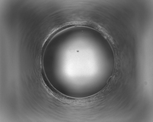 X0000059820011200510211159