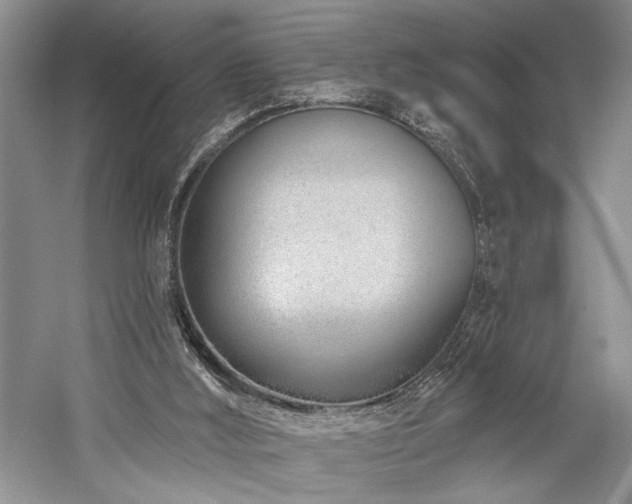 X0000059820012200510211159