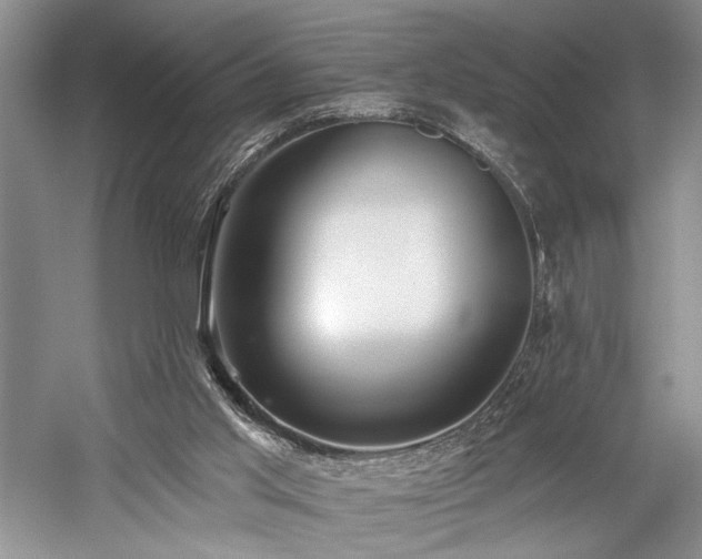 X0000059820013200510211159