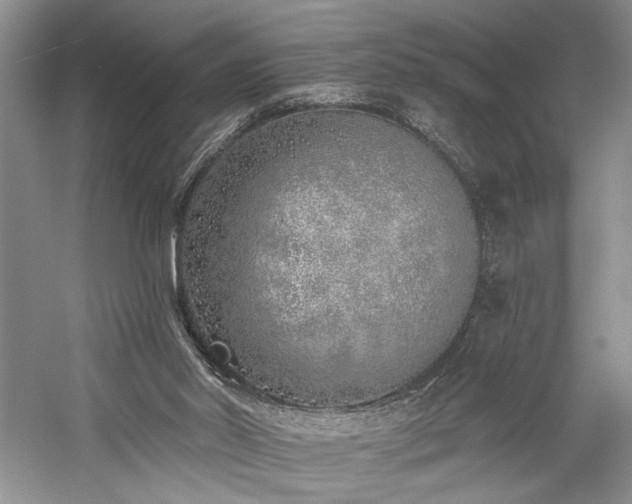 X0000059820014200510211159