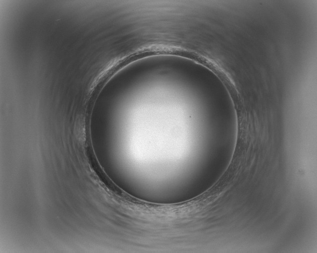 X0000059820015200510211159