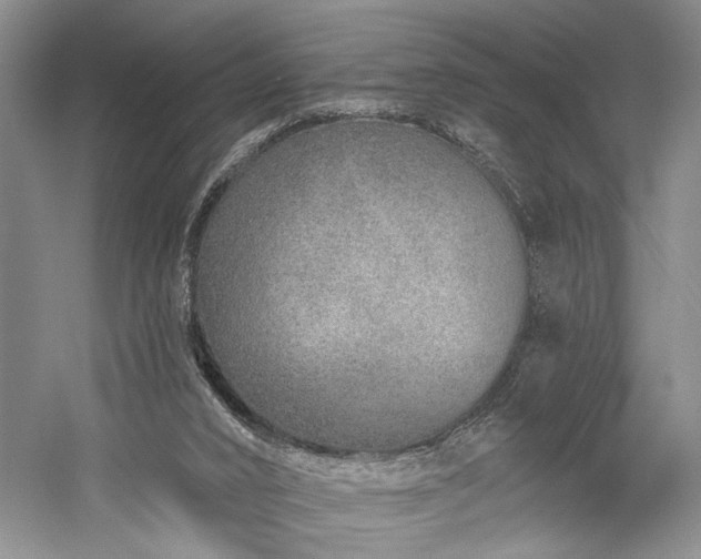 X0000059820016200510211159