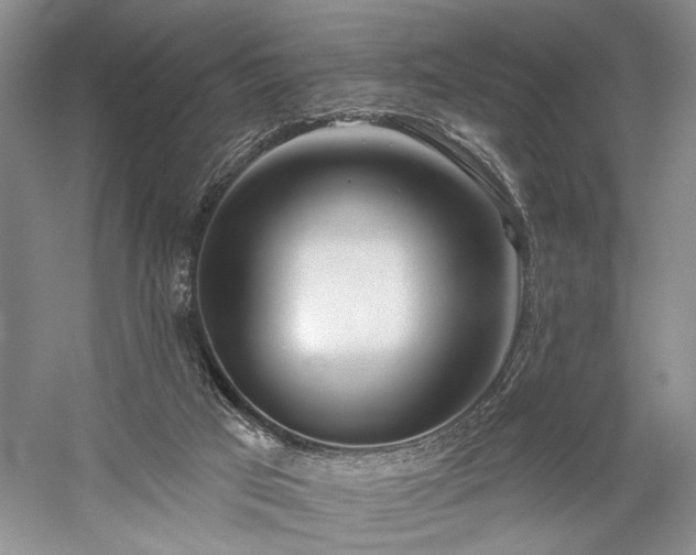 X0000059820017200510211158