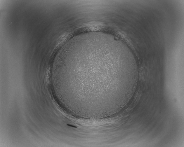 X0000059820018200510211158