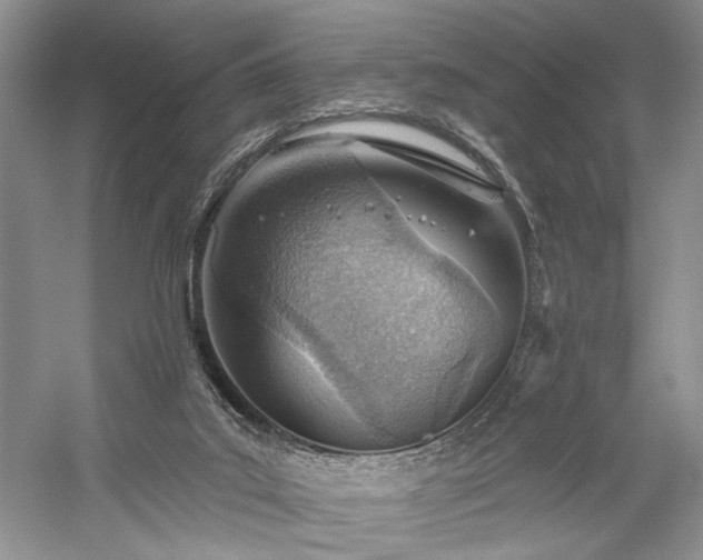 X0000059820019200510211158