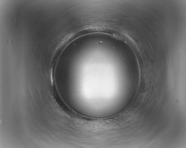 X0000059820020200510211158