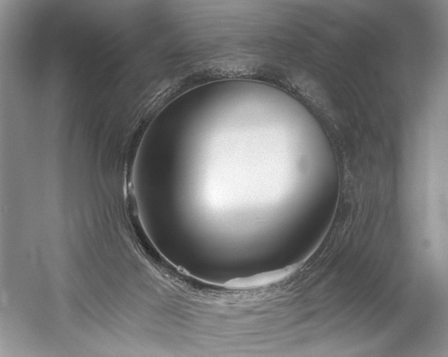 X0000059820021200510211158