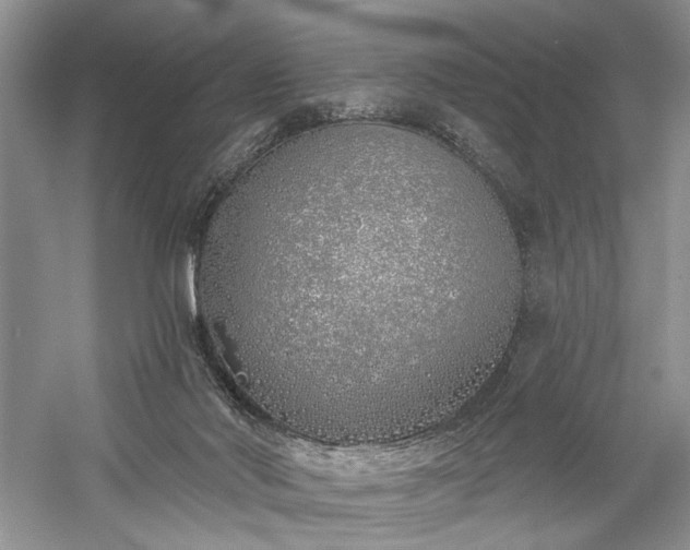 X0000059820022200510211158