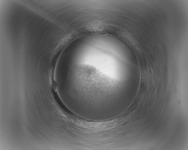 X0000059820023200510211158