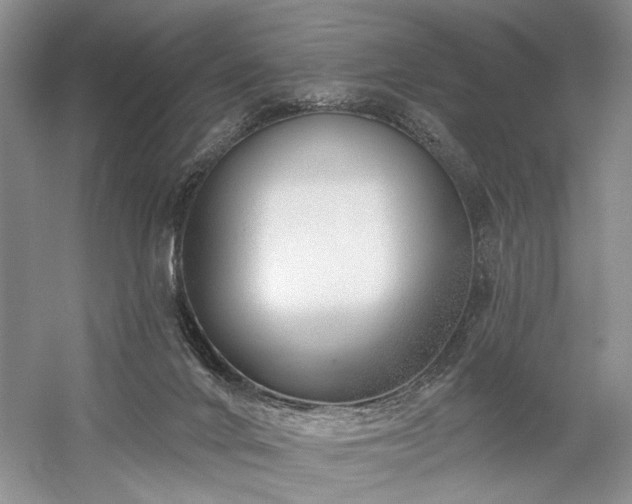 X0000059820024200510211158