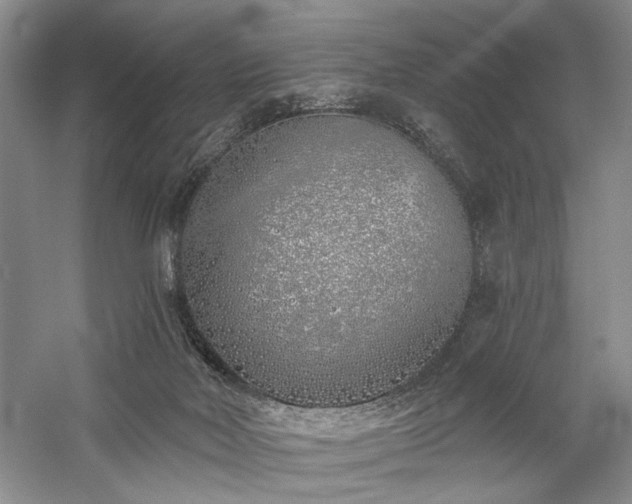 X0000059820026200510211158