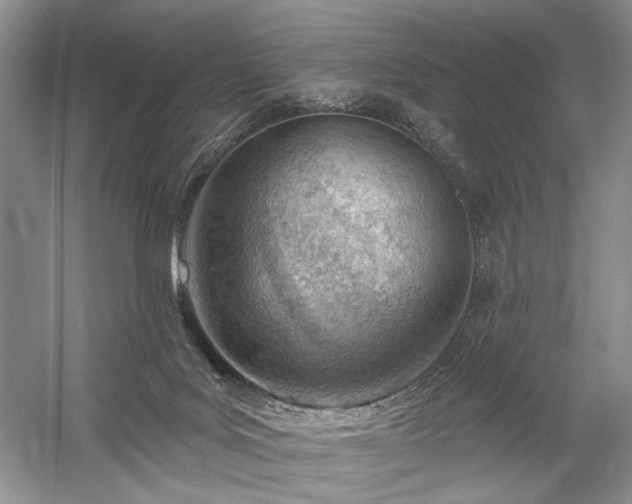 X0000059820027200510211158