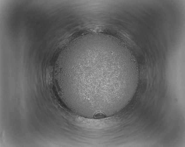 X0000059820030200510211158