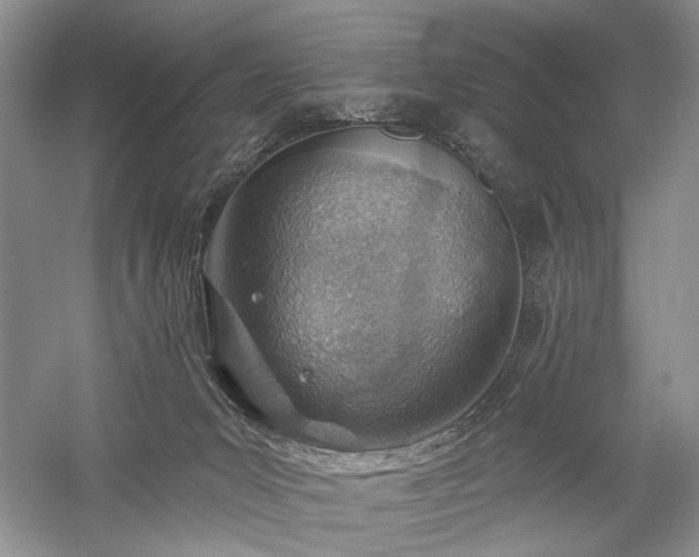 X0000059820031200510211158