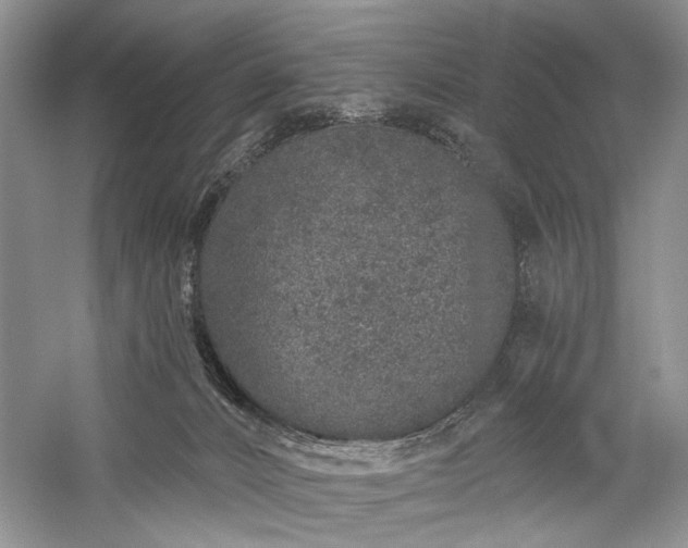 X0000059820032200510211158