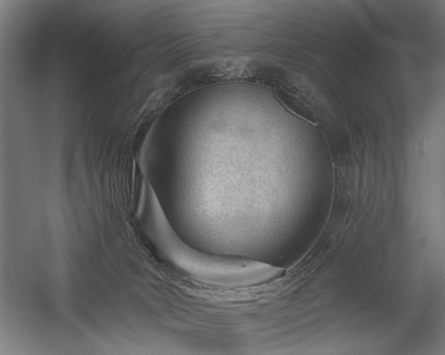 X0000059820035200510211158