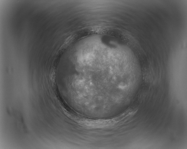 X0000059820036200510211158