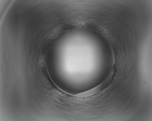 X0000059820037200510211158