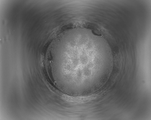 X0000059820038200510211158