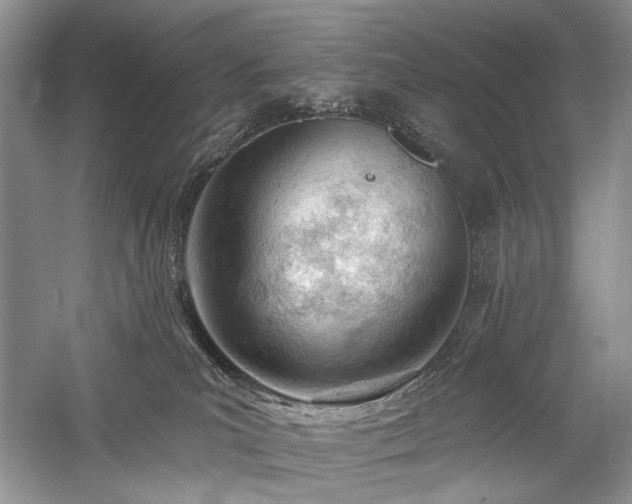 X0000059820039200510211158