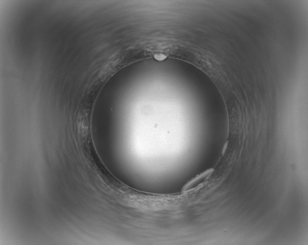 X0000059820040200510211158