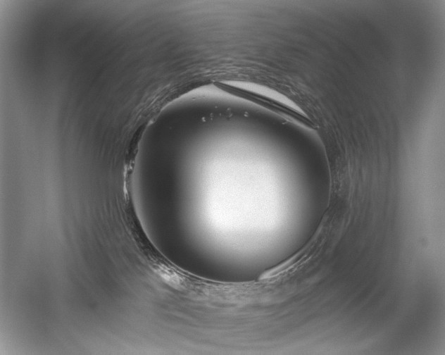 X0000059820041200510211158