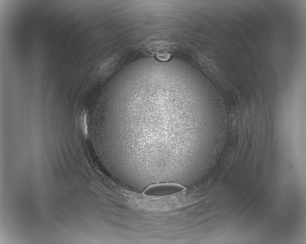 X0000059820042200510211158