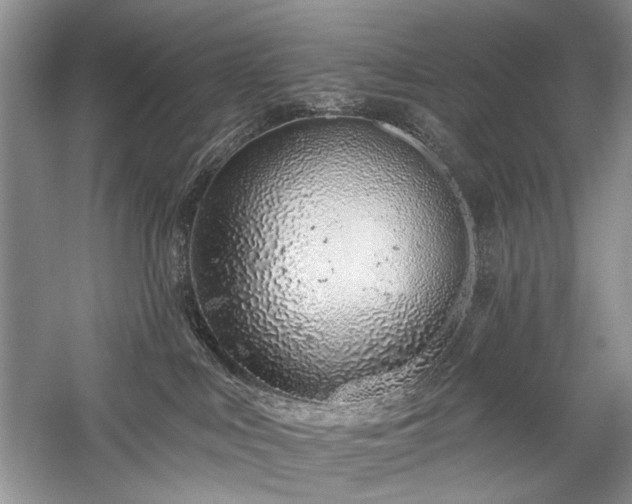 X0000059820043200510211158