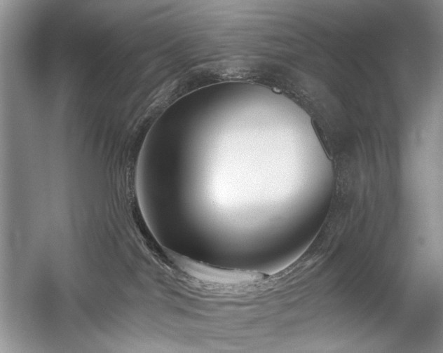 X0000059820044200510211158